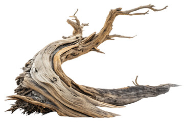Dynamic driftwood piece isolated on AI generated by PNG