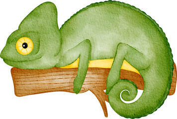 chameleon illustration © Je
