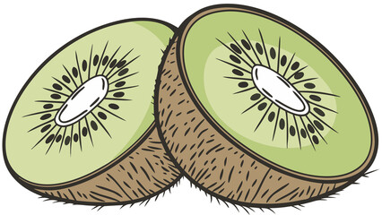 Stylized kiwi illustration with vibrant green flesh and radial seed pattern, blank background.

