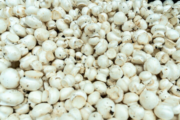 Fresh White Button Mushrooms Displayed at a Local Market. Market Fresh White Button Mushrooms Embracing the Essence of Culinary Creativity and Seasonal Delights.