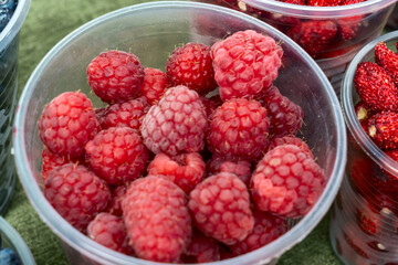 Freshly picked raspberries in clear cups at the market. Delightful moments captured with luscious raspberries for a perfect picnic. A summer celebration with vibrant raspberries bursting with flavor.