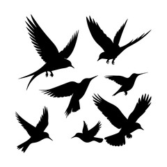 Obraz premium Collection of silhouetted birds in various flying poses