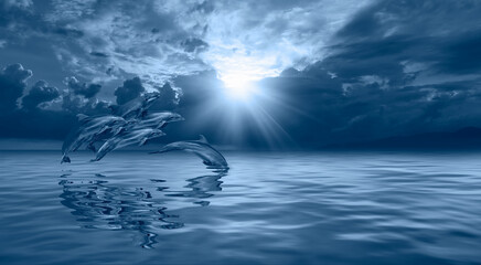 Fototapety na wymiar - Fototapeta24.pl