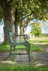 Leere idyllische grüne Parkbank aus Metall auf einem gepflasterten Weg, umgeben von grünem Gras und Bäumen, vertikal