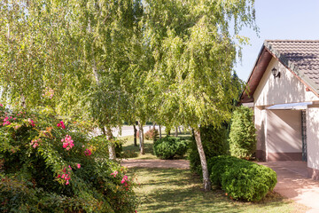 Birch trees in front of the entrance to a small hotel