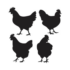 Four black chicken silhouettes on white background 8
