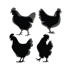 Four black chicken silhouettes with grey outlines fowl