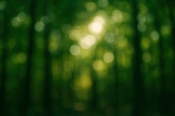 Blurred green forest bokeh background