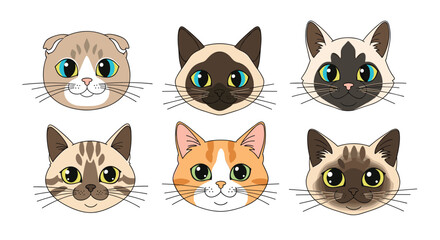 Fototapeta premium An adorable collection of six distinct feline faces expressing various sweet expressions