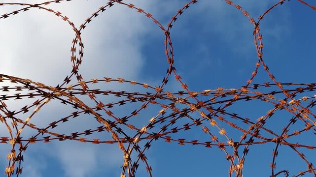  Barbed Wire Fence for Security