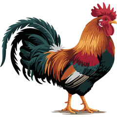 Rooster silhouette design isolated on white background