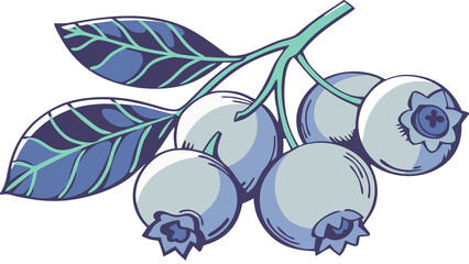 Watercolor blueberry cluster with varied blue-purple tones and soft edge blending, blank background.

