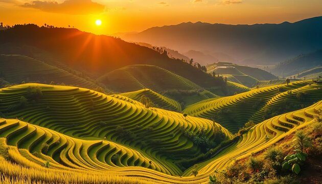 Golden sunset bathes vibrant green Mu Cang Chai rice terraces, creating a breathtaking vista,  yellow,  panorama