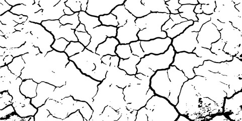 Dry, cracked tree bark texture shows an abstract pattern of arid earth