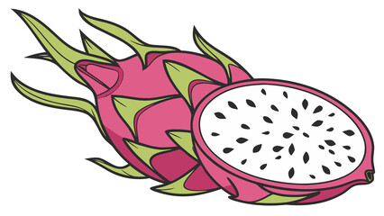Digital illustration of dragon fruit showing white flesh and black seed speckles with vibrant pink rind, isolated on white.

