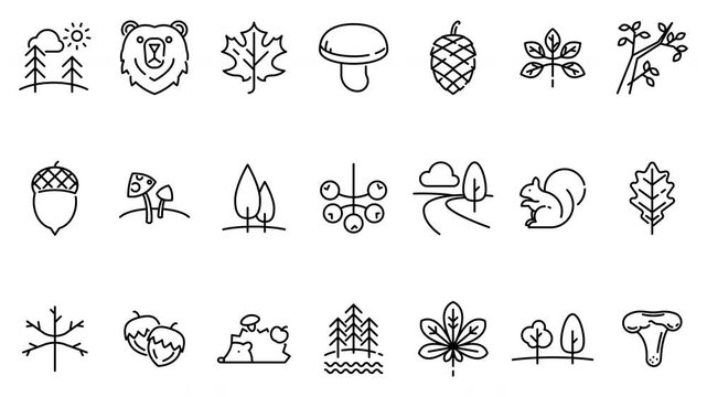 Forest Line Icons Animated Drawing and Fade - Alpha Channel