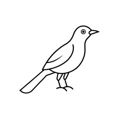 Obraz premium A vox line art vector illustration.