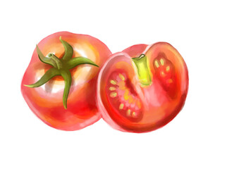 Tomato watercolor illustration with a slice a piece of tomato isolated png transoparent background drawing