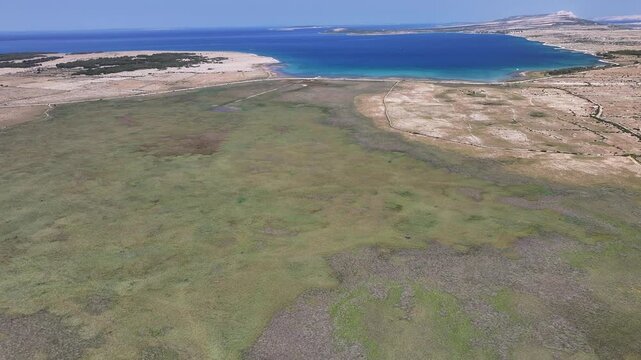 Drone shot of wetland meeting the sea with indented coastline and natural landscape on Pag island featuring green and blue scenery