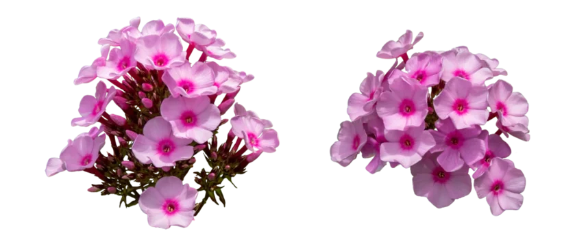 360_F_1596324875_yuA1a03naANrg