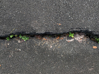 Cracked and lifted line on the concrete street, causing gap line