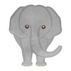 Cute elephant illustration