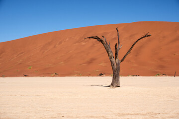 Deadvlei