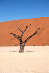 Deadvlei