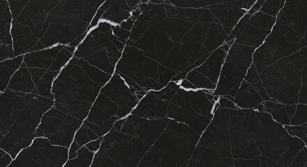 Dark Stone Texture with White Veins Seamless Background