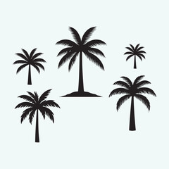 Tropical Palm Tree Line Art Collection.