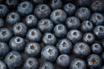 Blueberry texture background. Fresh blue berry fruits pattern, bilberry wallpaper with copy space