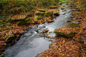 Little creek stream with stones and golden autumn leaves scenery