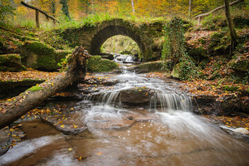 River strea, with historic stone bridge wood trunk and fall leaves in water landscape scene
