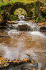 Autumn coloured leaves on stones in a creek with waterfall and stone bridge scene