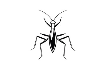 Elegant Black and White Insect Illustration Featuring Long Antennae and Legs Presented as a Striking Silhouette This black white illustration insect