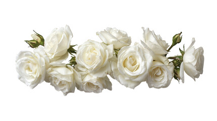 Obraz premium Elegant White Rose Flower Border with Green Leaves on Transparent Background