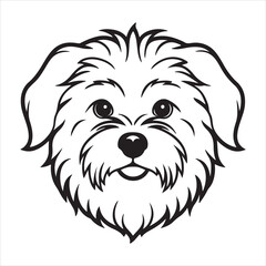 Havanese Hues: Captivating Cuteness & Vibrant Personalities