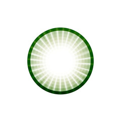 Glowing green radial burst with circular grid on transparent background
