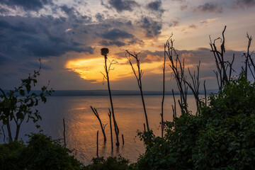 Evening at Lake Nakuru