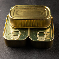 Can tin canned food fish or meat, tin can vegetable fresh delicious gourmet food background on the table rustic food top view copy space