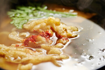 Japanese food, udon noodles 