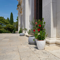 Fototapety na wymiar - Fototapeta24.pl