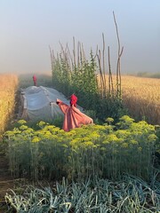 Polska wieś strach na wróble © Maciej G. Szling