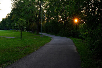 Peaceful Pathway Through a Park at Sunset