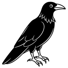 Raven bird line art vector illustration  