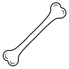 Bone line art vector illustration  