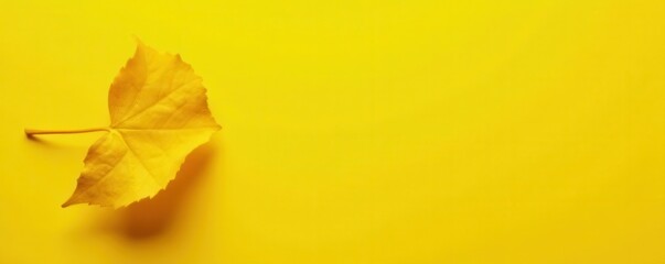 One vibrant yellow leaf on a solid yellow background, slight shadow visible , yellow leaf, background