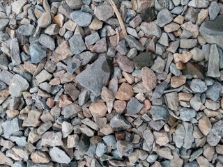A close-up, overhead view of various small, irregularly shaped gravel stones in shades of grey, brown, and blue.