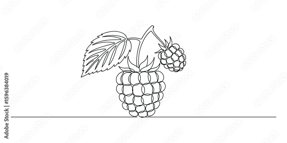 Poster continuous line drawing of raspberry fruit with leaf, simple outline style, isolated black on white 