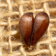 Two halves make one heart